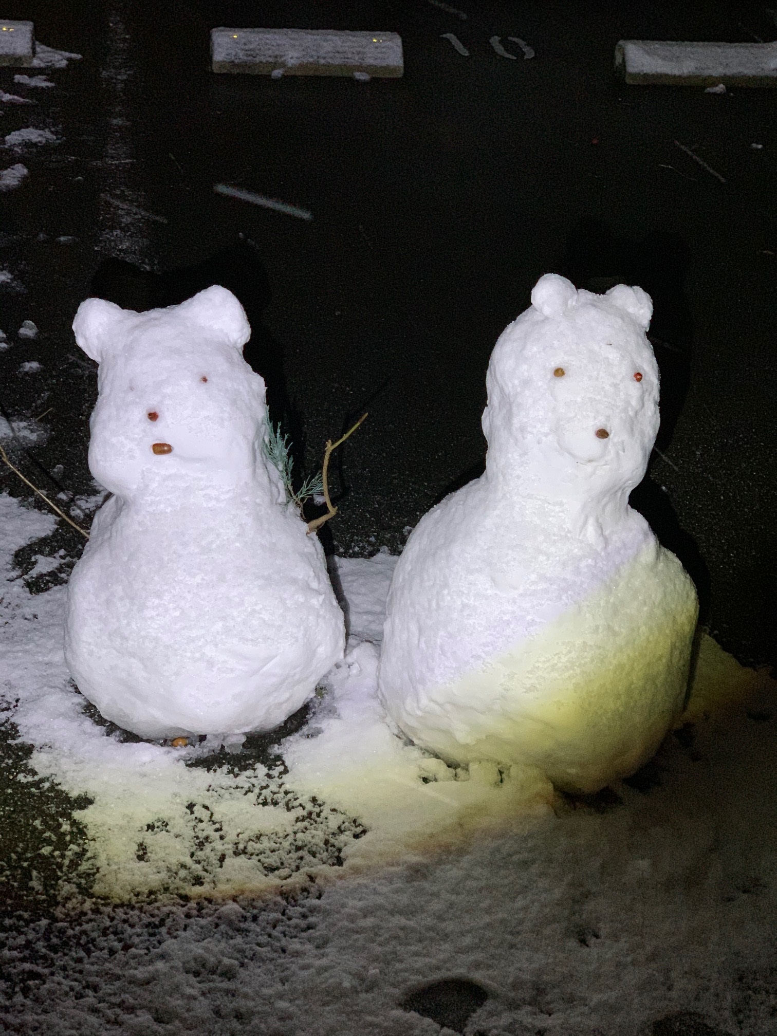 雪だるま　見つけました(*^^*)