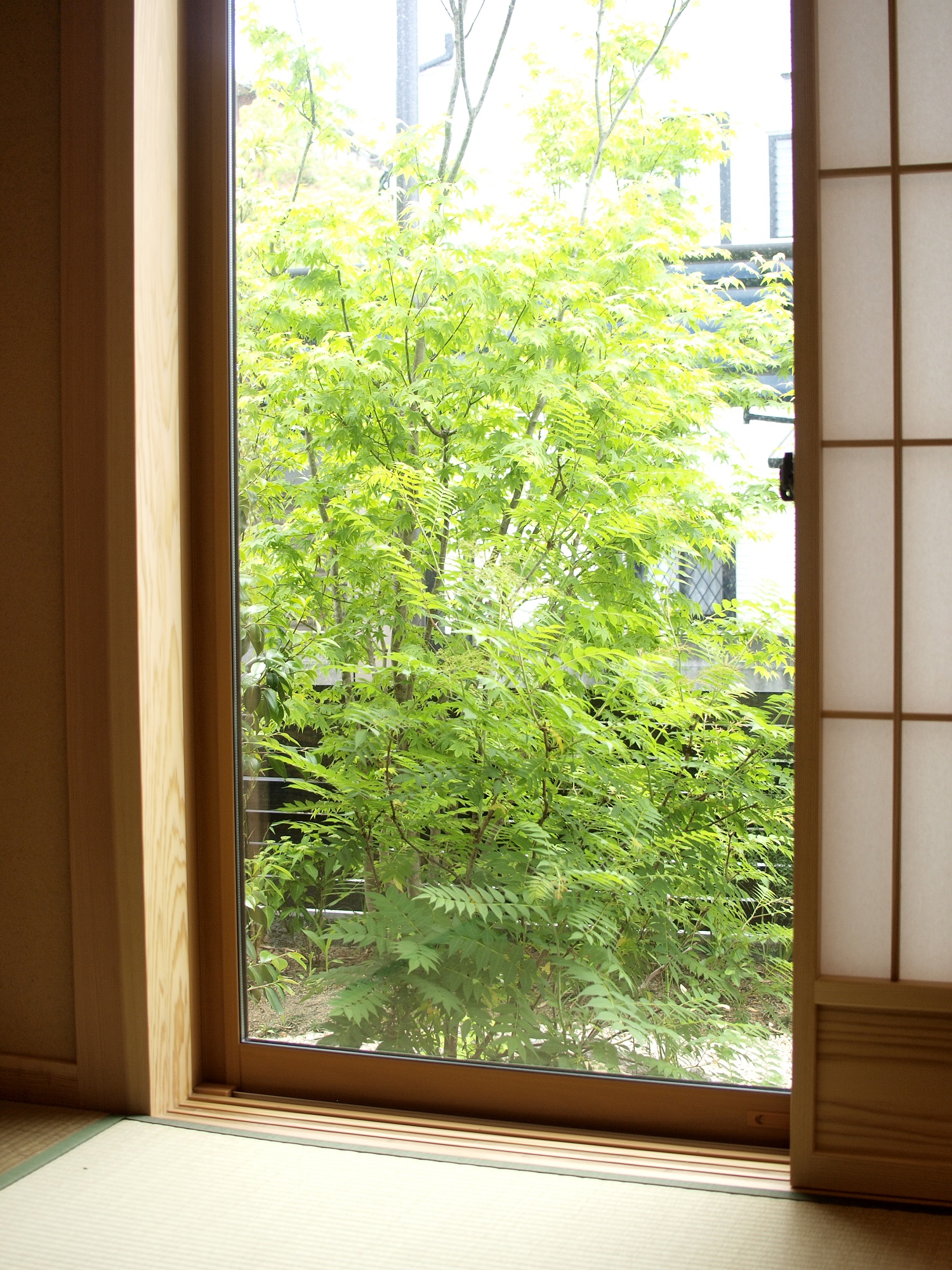 風が心地よい季節です🍀